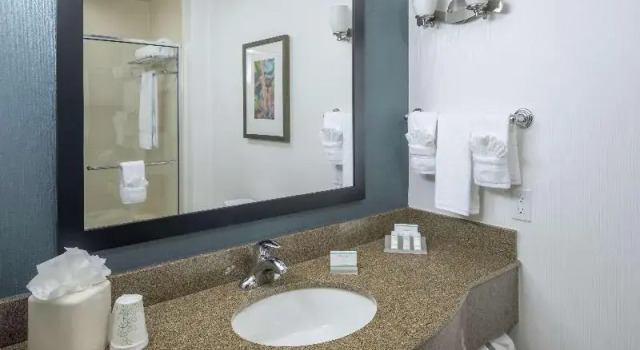 Двухместный номер Standard с видом на канал Hilton Garden Inn DFW North Grapevine