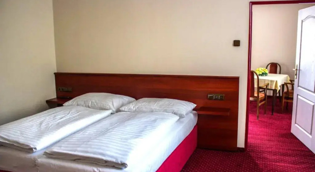 Hotel Continental, Забронировать Отель Отели Пльзень 3 звезды, рядом с Josef Kajetán Tyl Theatre, 3*