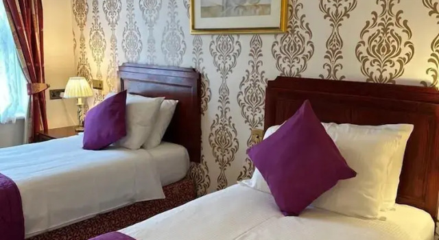 Двухместный номер Standard La Trelade Hotel