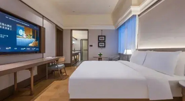 Люкс Deluxe Manxin Mansion Shanghai International Tourism and Resorts Zone