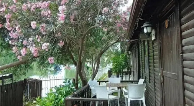 Бунгало Lemon Park House