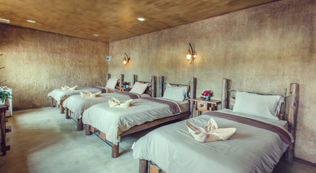 Семейный люкс Timberland and Fruit Resort