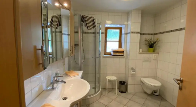 Апартаменты с 2 комнатами Ferienwohnungen Haus Salzgau