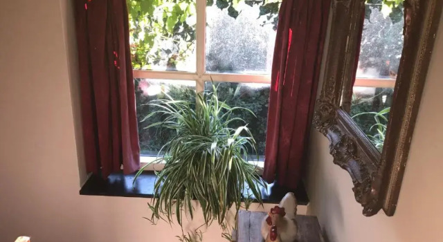 Коттедж Holiday home Elena