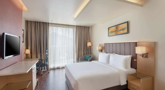 Номер Business Radisson Salem