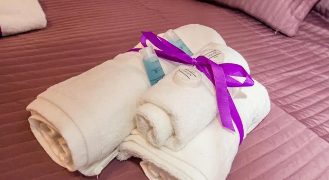 Одноместный номер Standard ORCHIDEA HOUSE FIUMICINO two