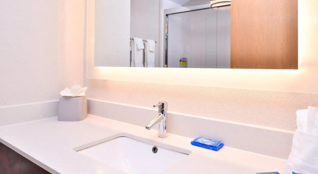 Четырёхместный номер Business Holiday Inn Express Hotel & Suites Tampa-Anderson Road-Veterans Exp by IHG