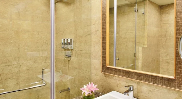 Одноместный номер Standard Four Points by Sheraton Srinagar