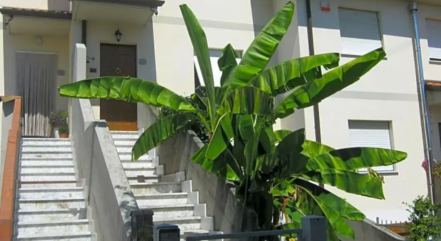 Il Melograno B&B