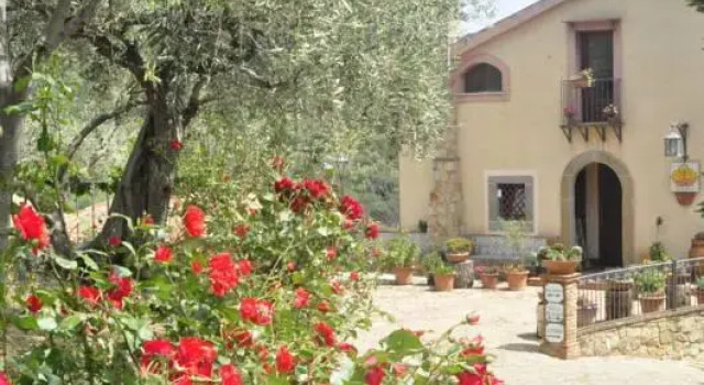 Номер Superior Agriturismo Bergi
