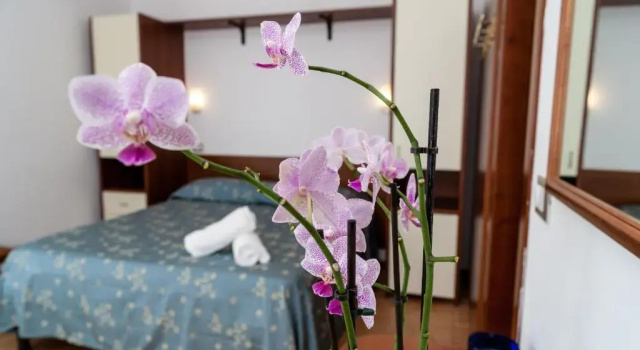 Двухместный номер Standard Hotel Sayonara