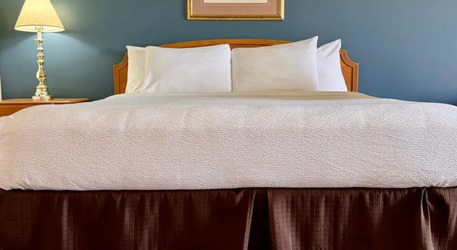 Люкс Stone Willow Inn