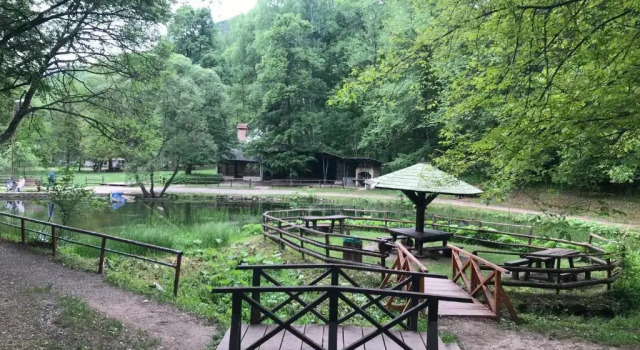 Апартаменты с видом на горы Vila Lenka Sokobanja