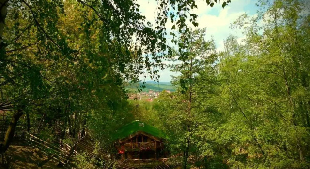 Шале Club Vila Bran