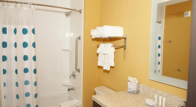 Люкс с 2 комнатами TownePlace Suites by Marriott Hobbs