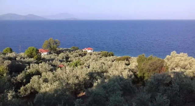 Villa Belian 2, Prenota Villa South Pelion Tessaglia