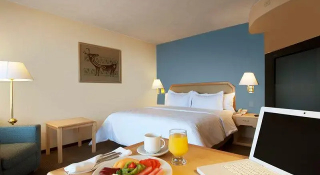 Junior suite doppia Fiesta Inn Express Hermosillo