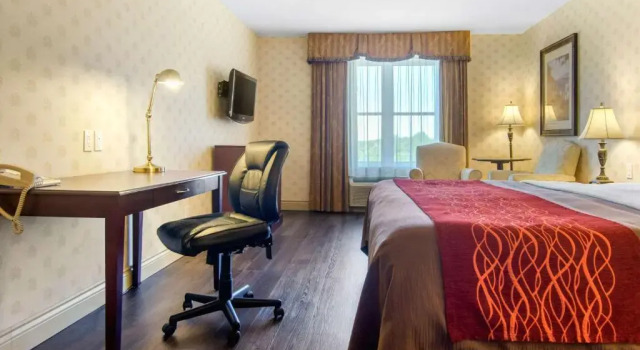 Номер Standard Comfort Inn & Suites