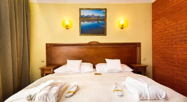 Двухместный номер Standard с видом на горы Hotel International