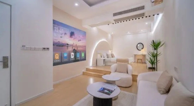 Люкс Дуплекс Borui Boutique Hotel