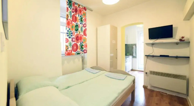 Standard- dobbelt værelse Hostel Temza
