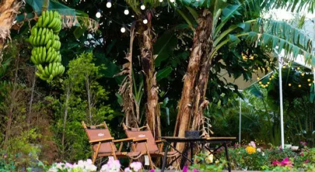 Wanning Riyuewan Flower Romantic Homestay