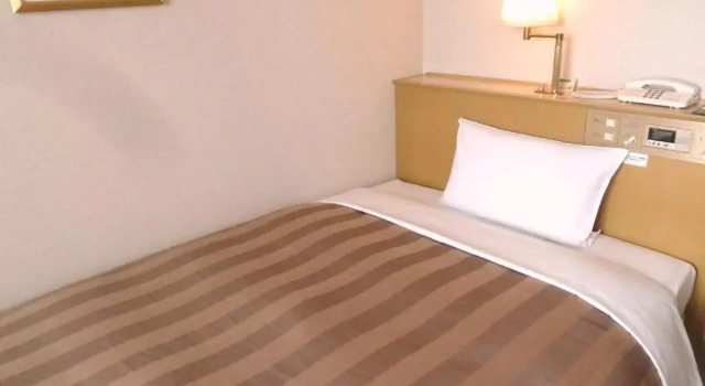 Run of House Ark Hotel Royal Fukuoka Tenjin -ROUTE INN HOTELS