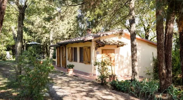 Номер Standard Fattoria SantAndrea - Farm Stay