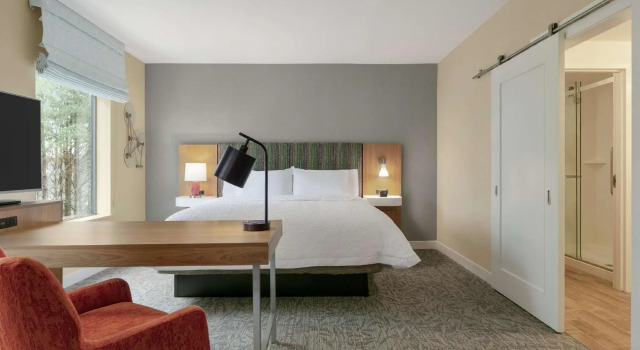 Двухместный люкс Hampton Inn And Suites By Hilton Johns Creek
