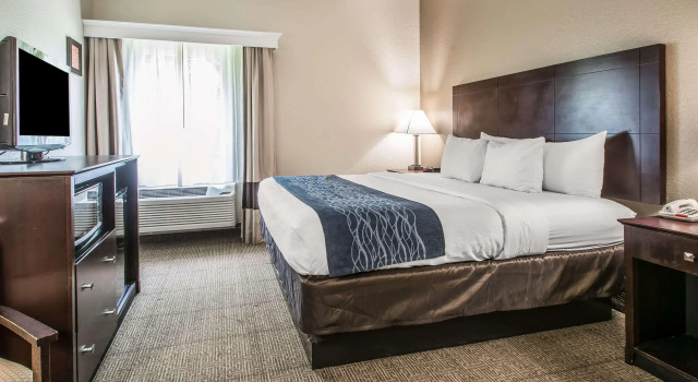 Comfort Inn & Suites DeLand - near University, Book Hotel DeLand Florida