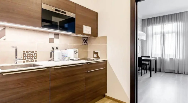 Студия Мансарда VINOHRADSKY DUM Residence