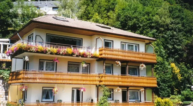 Modern Apartment in Bad Rippoldsau Near Town Center
