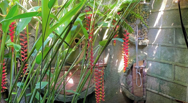 Номер Superior Mekong Silt Ecolodge