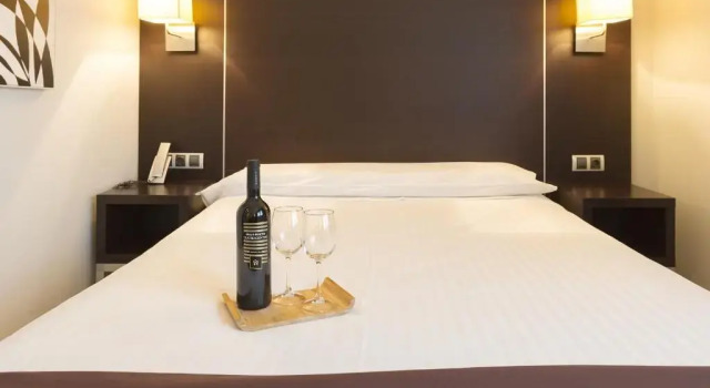 Одноместный номер Hotel Plazaola
