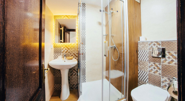 Одноместный номер Standard Hotel Best Western Bucovina