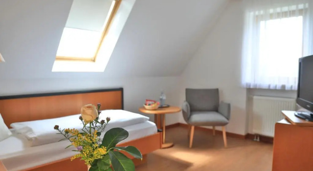 Одноместный номер Comfort Landidyll Hotel Zum Alten Schloss