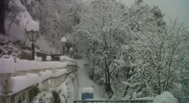 The Amber - Vermont Estate, Rezerwuj Hotel Mussoorie Uttarakhand