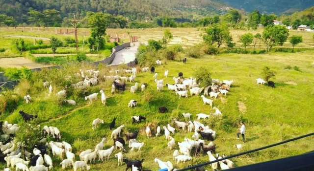 Himalayan Retreat, Забронировать Отель Отели штата Химачал-Прадеш 4 звезды, 4*