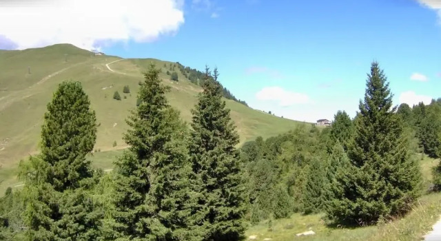 Номер Standard Rifugio Hotel Eurotel