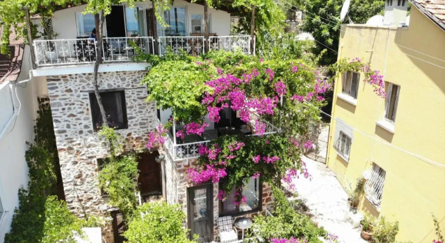 Lemon Villa Hotel - Adult Only