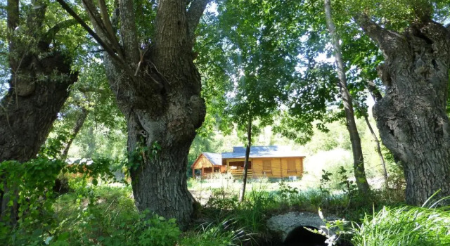 Шале Comfort Camping, Hôtel De Plein Air Les Cariamas