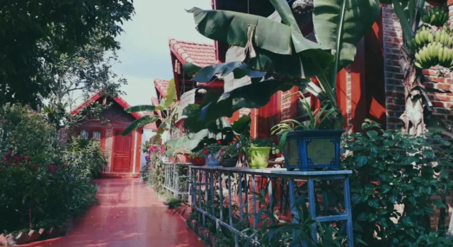 Кровать в общем номере Tam Coc Rice Fields Homestay