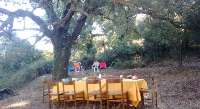 Agriturismo Bosco Pianetti, Book Hotel Hotels in Sicily with a Pool, Swimming Pool