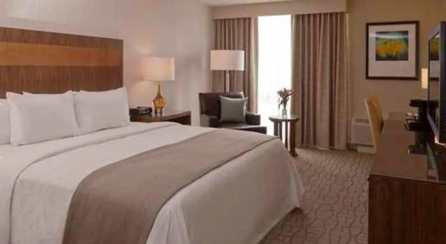 Двухместный номер Accessible DoubleTree by Hilton Pittsburgh-Green Tree