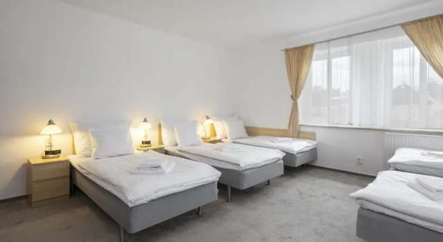 Семейный номер Standard Pytloun Wellness Travel Hotel