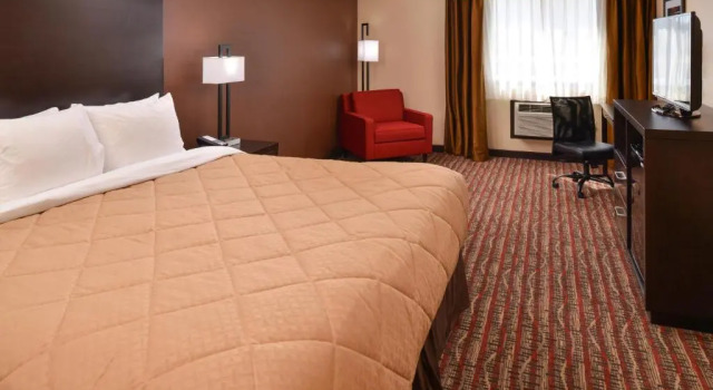 Номер Standard Quality Inn & Suites Tacoma - Seattle