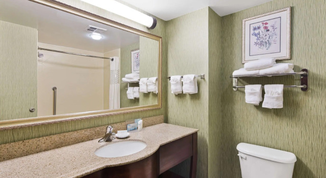 Четырёхместный номер Standard Hampton Inn Hinesville