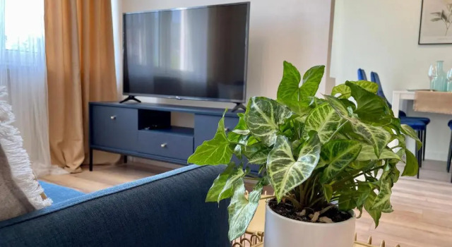 Apartament Rataja50, Забронировать Апартаменты/квартира Отели Мазурия с парковкой, Парковка