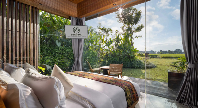 Номер Deluxe Gdas Bali Health and Wellness Resort