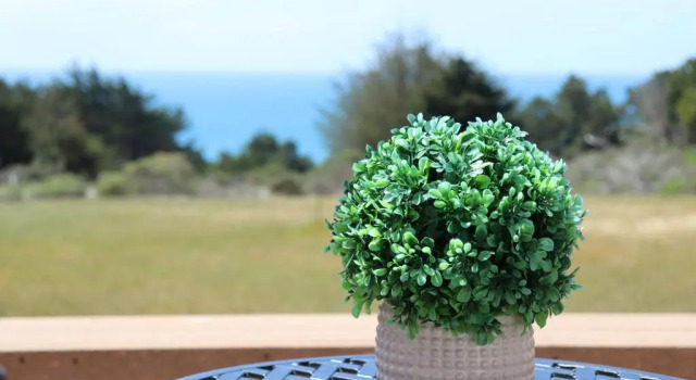 Номер Standard Cozy Getaway with Ocean View and Private Entrance!